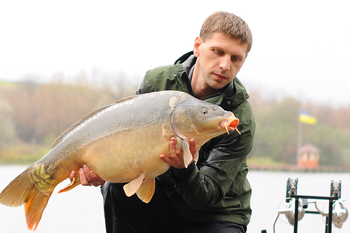Глаза в глаза Глаза в глаза