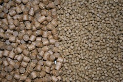 Пеллетс Nutrabaits 3D 1кг (mini)