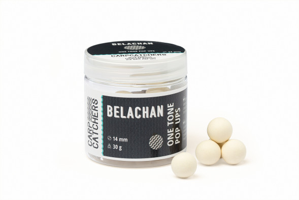 Бойлы pop-up Carp Catchers Belachan 14 mm