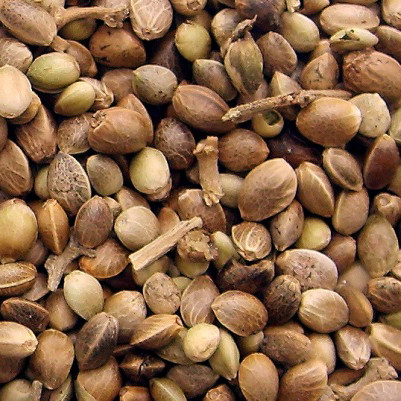 Зерна коноплі LSV Hemp Seed 500 g