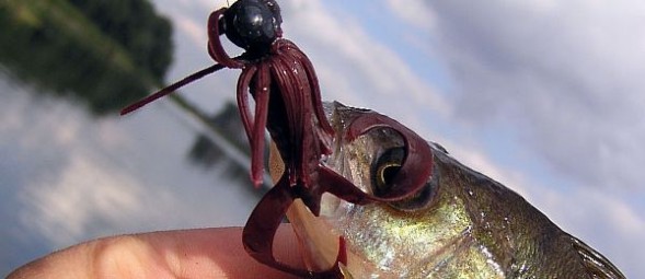 Силикон Keitech Little Spider 320 silver shad