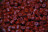 Пеллетс Dynamite Baits Robin Red Carp Pellets 8mm (Pre-Drilled)
