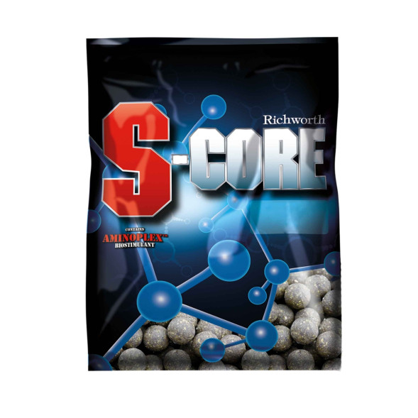 Бойли Richworth Original 15 мм 1 кг S-Core 2