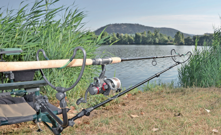 Держатель удилища Carp Zoom Feeder Rod Holder Arm