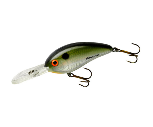 Воблер BOMBER Fat Free Shad BD6F-DTS