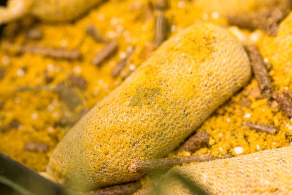 Стік CC Baits Stick Mix Honey 1кг