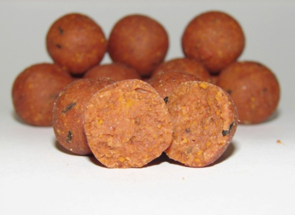 Бойл CC Moore Equinox Shelf Life 24mm 1kg