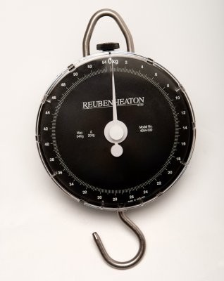 Ваги Reuben Heaton Standard Dual Scale 54kg