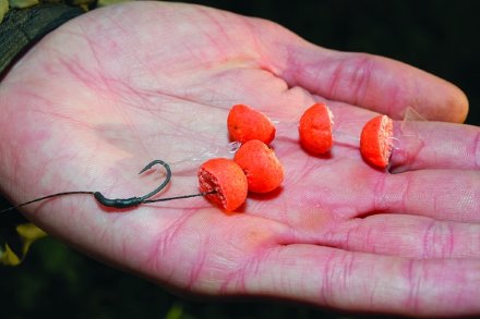 Бойлы Dynamite Baits CarpTec Boilies Spicy Squid 20mm 1kg