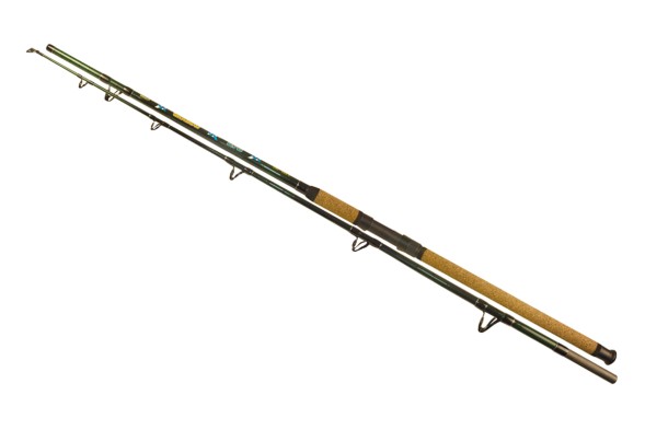 Сомовое удилище Wizard Catfish Shadow 2.90m 700-900g