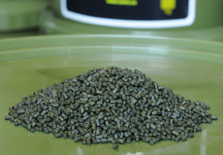 Пеллетс Carpio Betaine Green Pellets 2 мм 900 гр