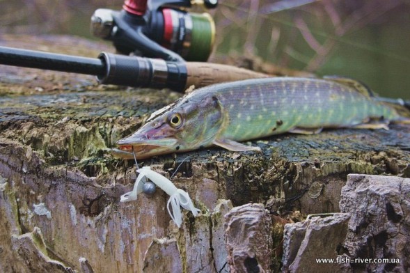 Силикон Keitech Little Spider EA#01 orange pepper