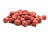 Плаваючі Бойл Corkers Dumbells Pop-Ups Solar CLUBMIX (SQUID, OCTOPUS) 12-14mm