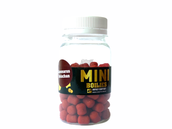 Мини-бойлы CC Baits вареные Ready Made Gammarus-Belachan 10мм 50гр