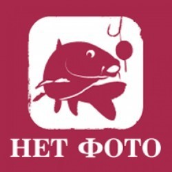 Бойл Rocket Baits Pop-Up пилять "Grunge" 20мм