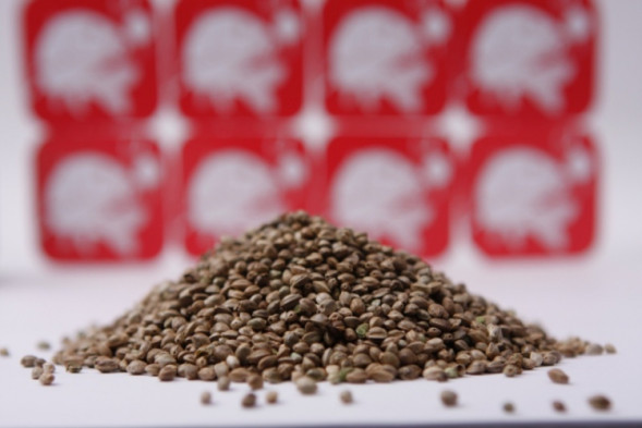 Зерна конопли Rocket Baits Hemp Seed 800 g